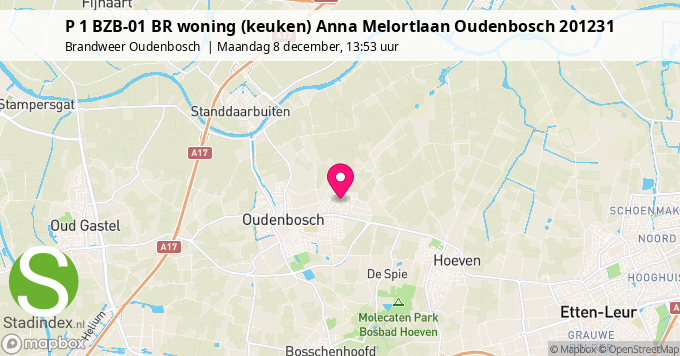 P 1 BZB-01 BR woning (keuken) Anna Melortlaan Oudenbosch 201231